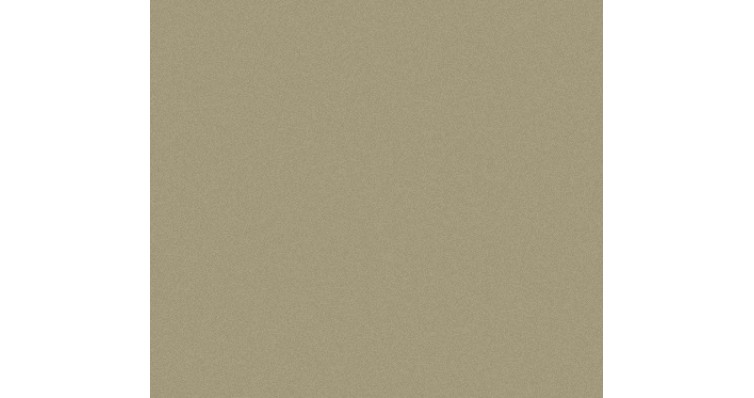 Сайдинг CEDRAL smooth (гладкий) С58 купить в Тест